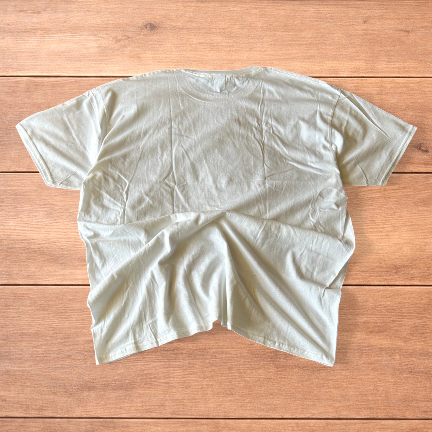 Technics Music Dj tshirt in white with front graphic print.